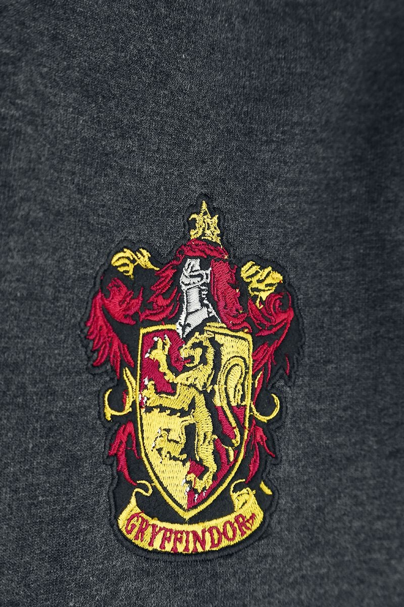 Gryffondor Sport | Harry Potter Sweat-shirt zippé à capuche