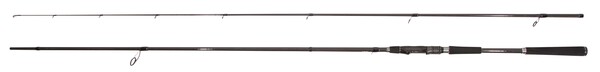 Ensemble Spinning Grayton Apex Salt XF