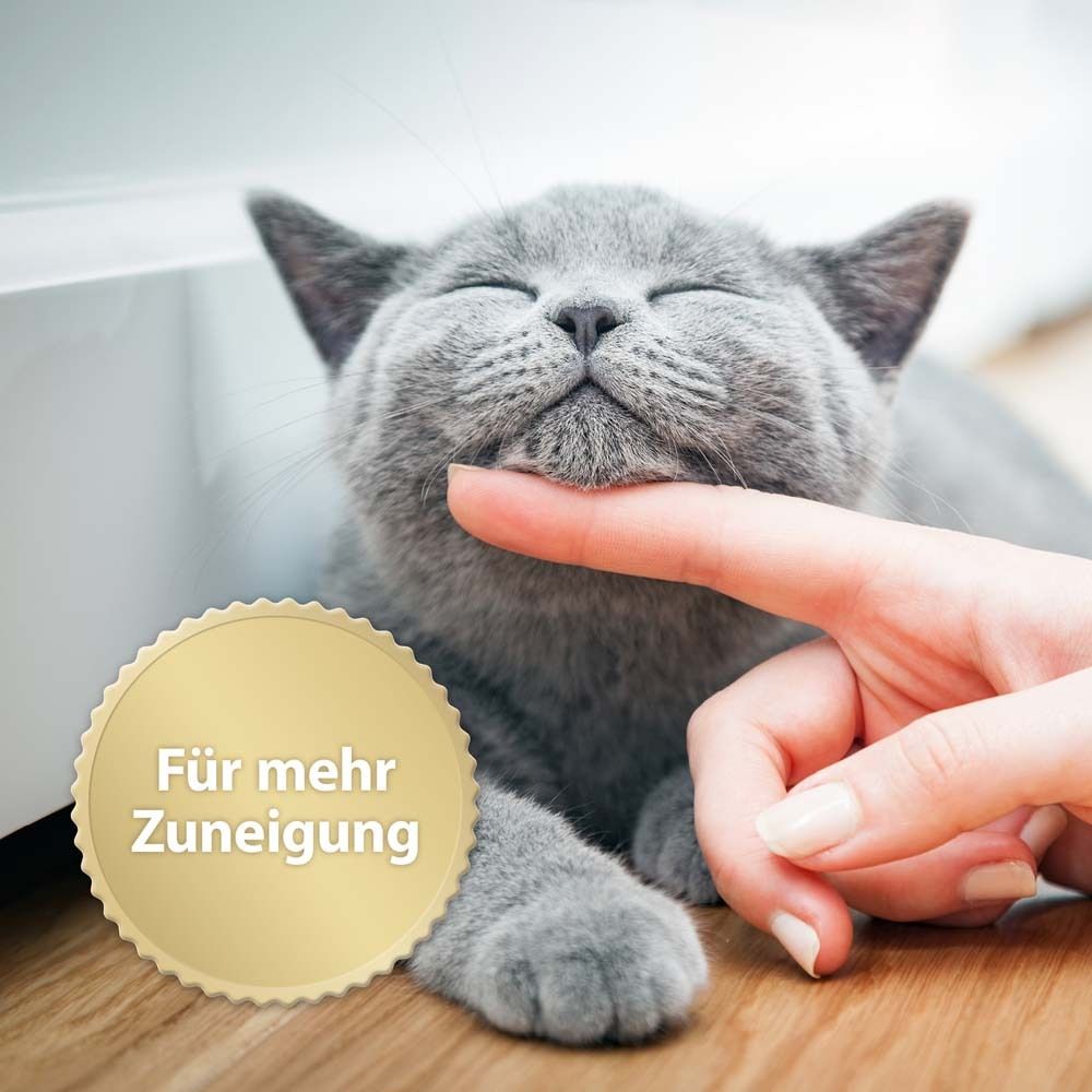 Felisept Home Comfort Nachfüllflakon