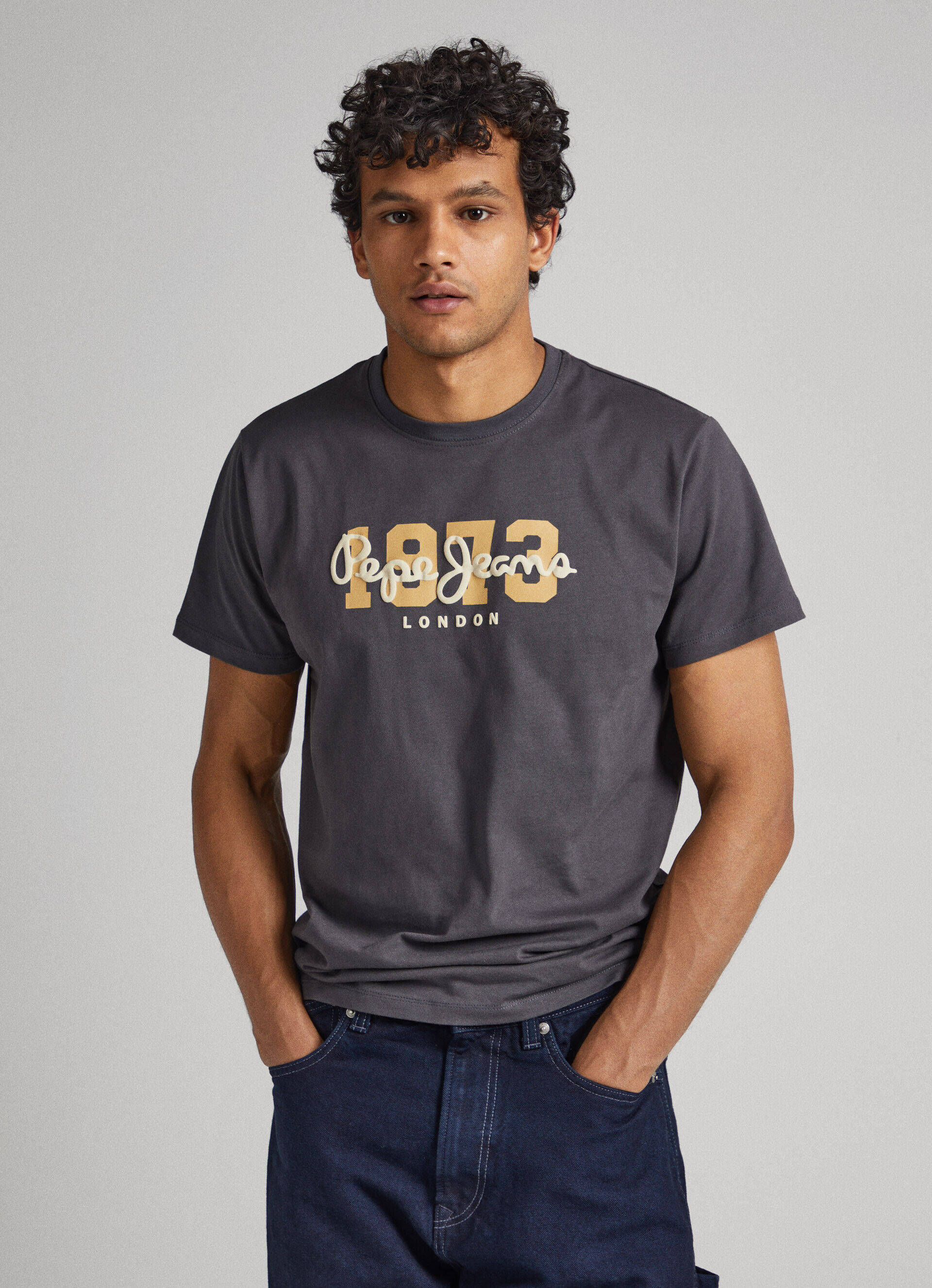 Camiseta com o logotipo de 1973 - cinza trovão