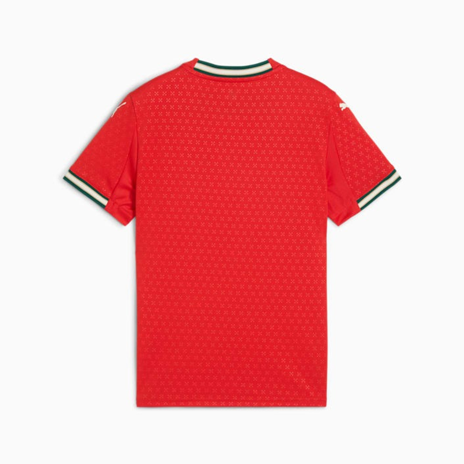 Puma Portugal Thuis Shirt Kids