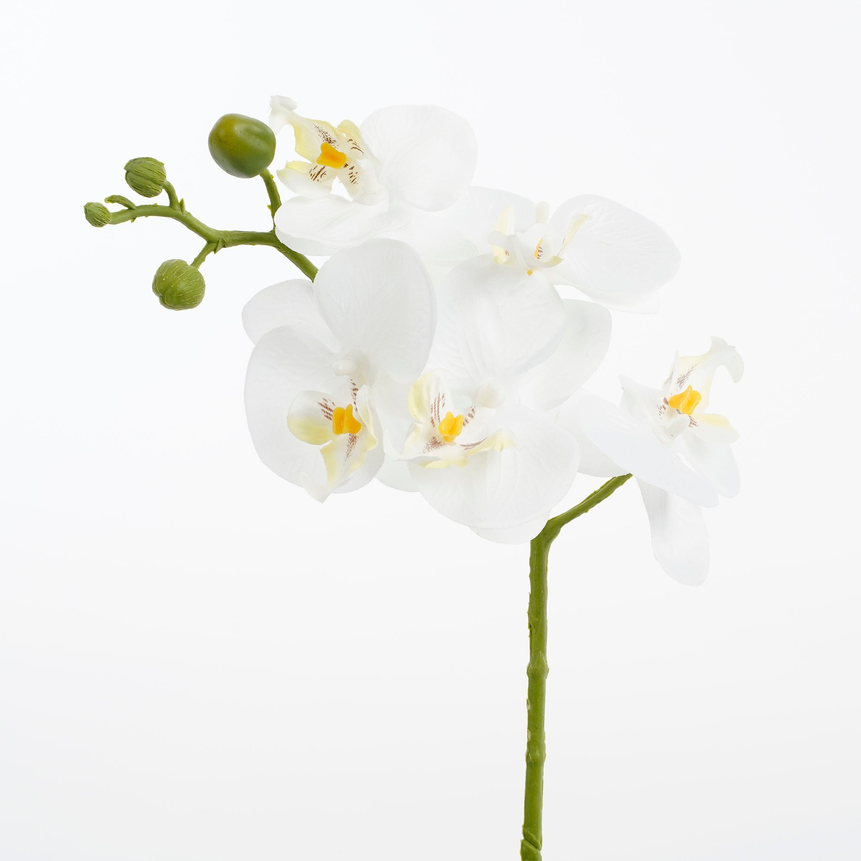 Mica Decorations Phalaenopsis Kunstplant - H48 x Ã13 cm - Wit