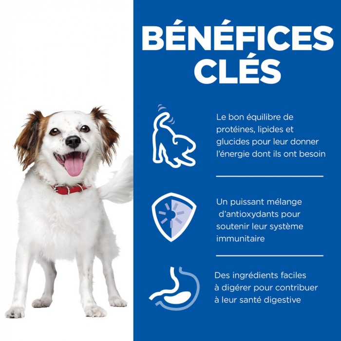 HILL'S Science Plan Small & Mini Adult en mousse au bœuf - Pâtée pour chien