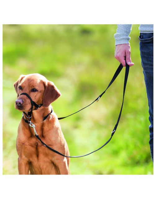 Trixie Top Trainer Opleidingstuig Zwart - Hondenopvoeding