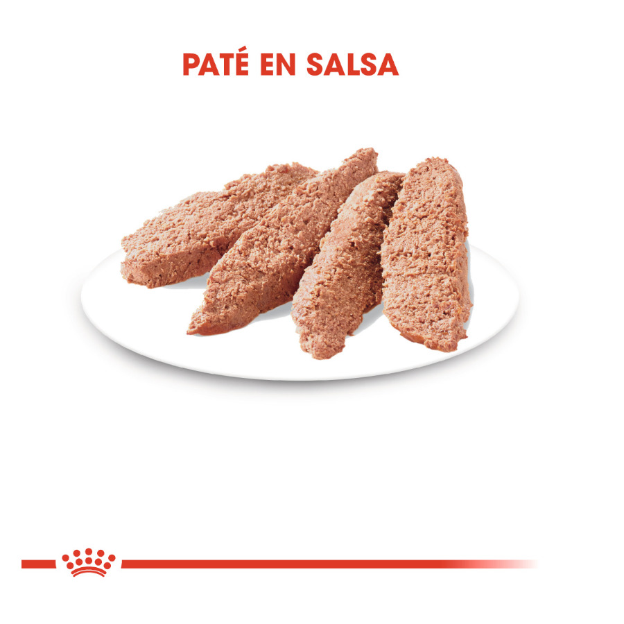 Sachê de Patê Royal Canin Instinctive para Gatos