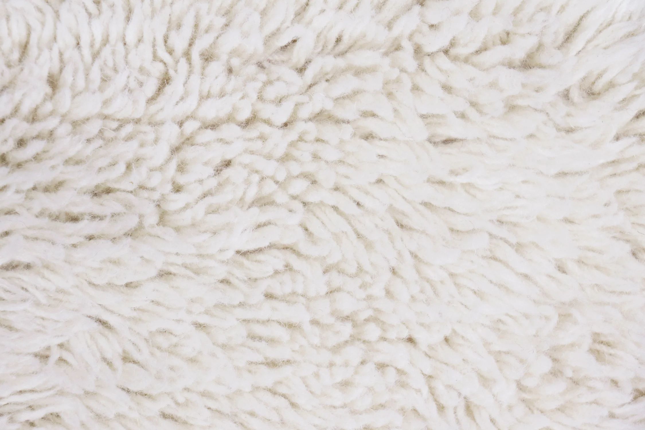 WOLLY - MOUTON - Tapis lavable en laine | Blanc