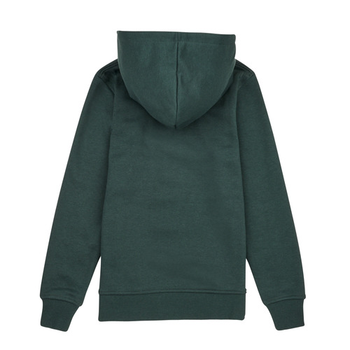 Jack & Jones - JORARTHUR SWEAT HOOD SN - Vert