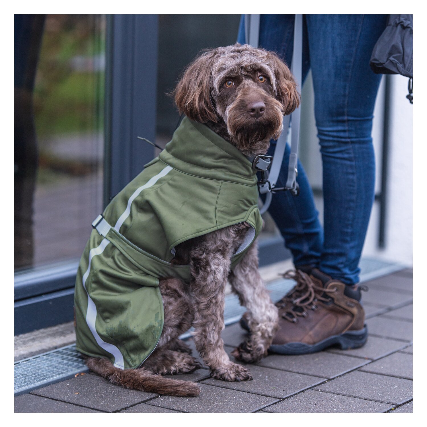 pawberry Softshell-Hundemantel Reus - light olive