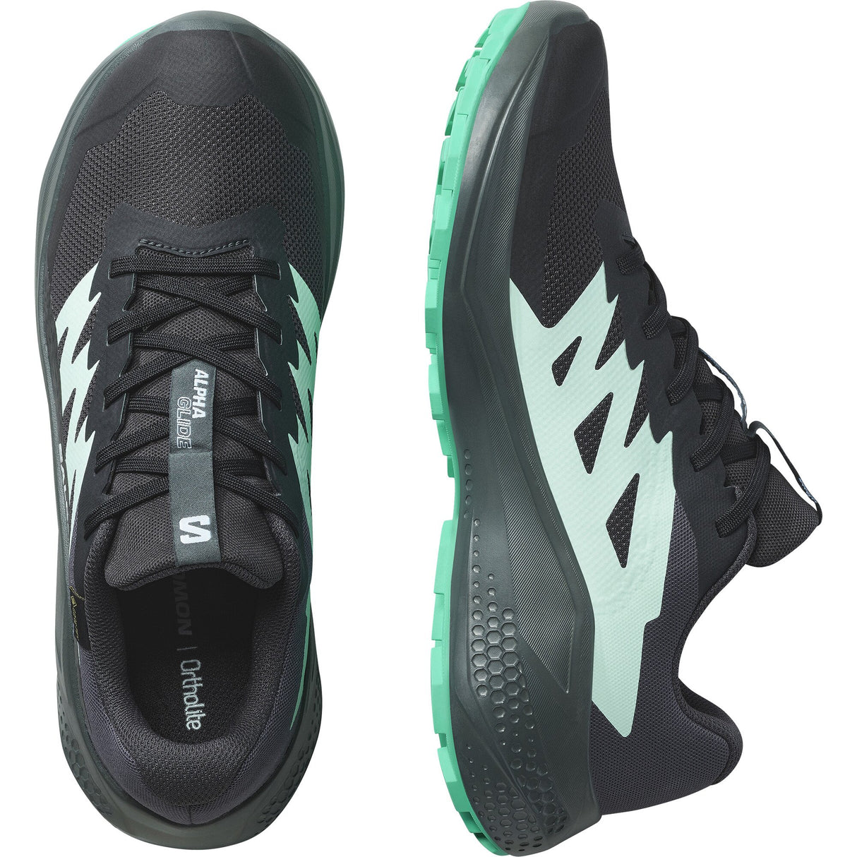 Salomon<br>Alphaglide GTX W