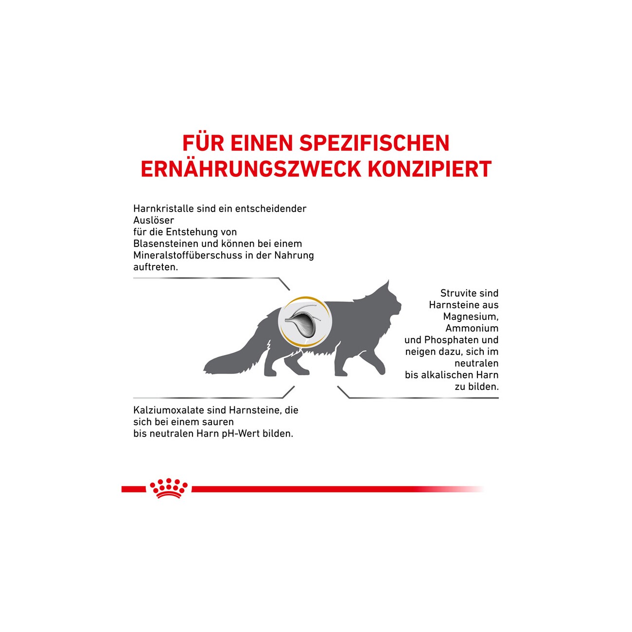 ROYAL CANIN Veterinary Urinary S/O 400 g