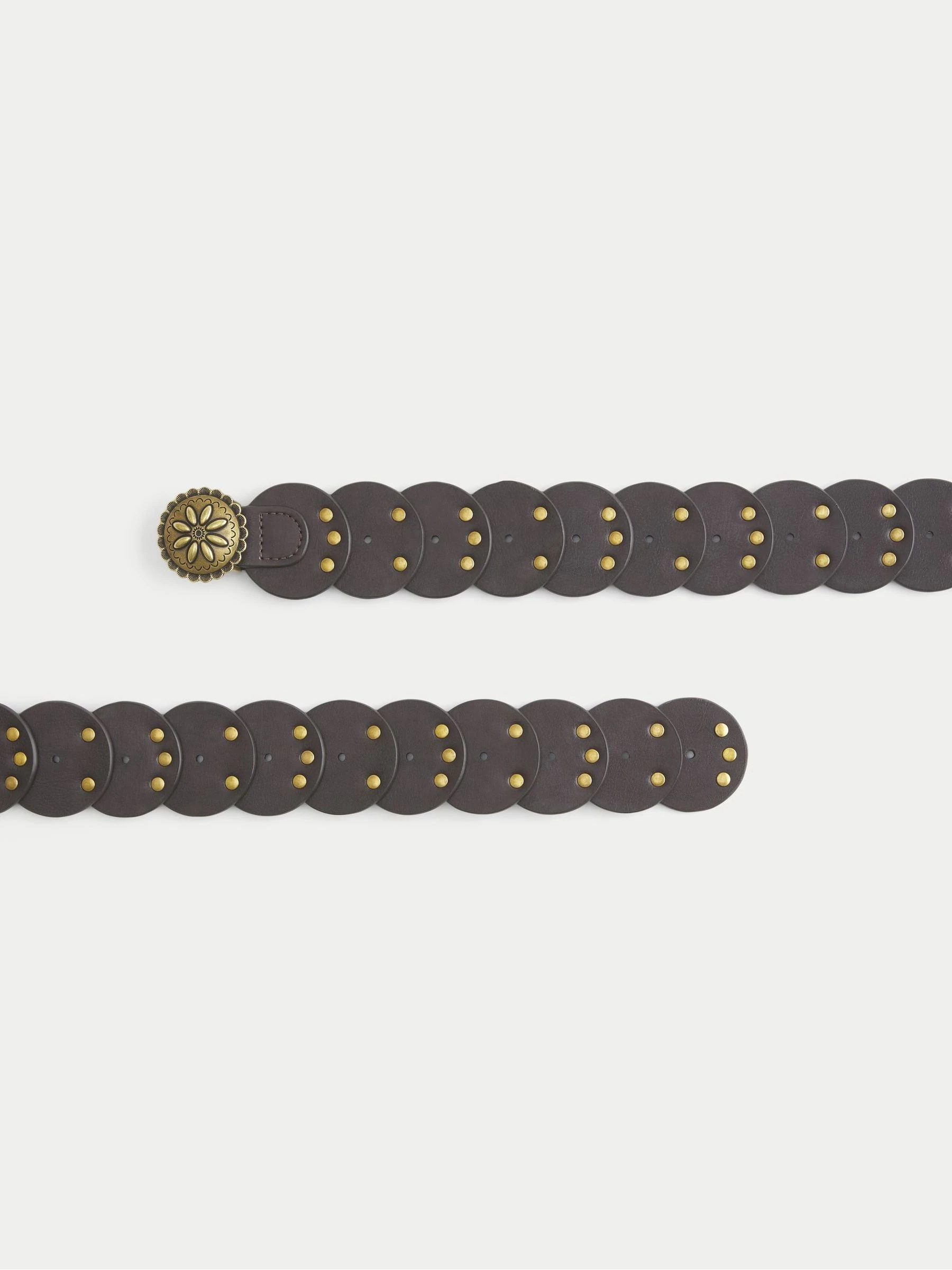 Hollister Boho Western Medalllion Brown Belt