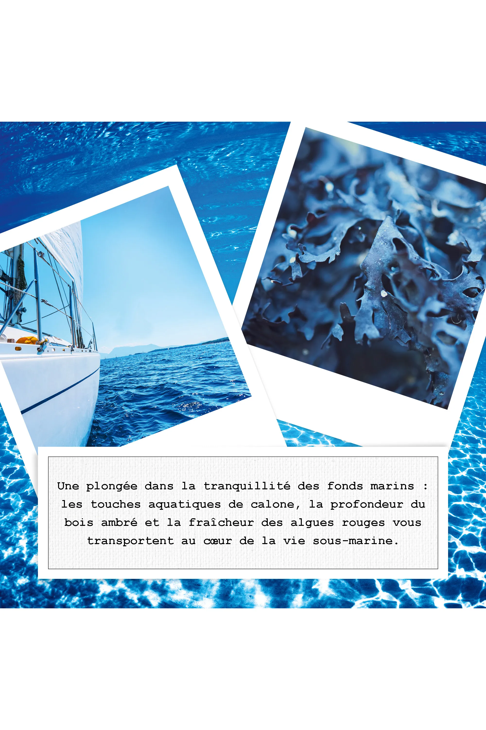 Maison Margiela REPLICA Sailing Day Eau De Toilette Boisé-100 ml