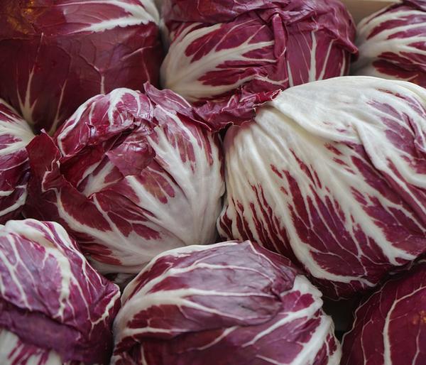 Radicchio, 6er Schale