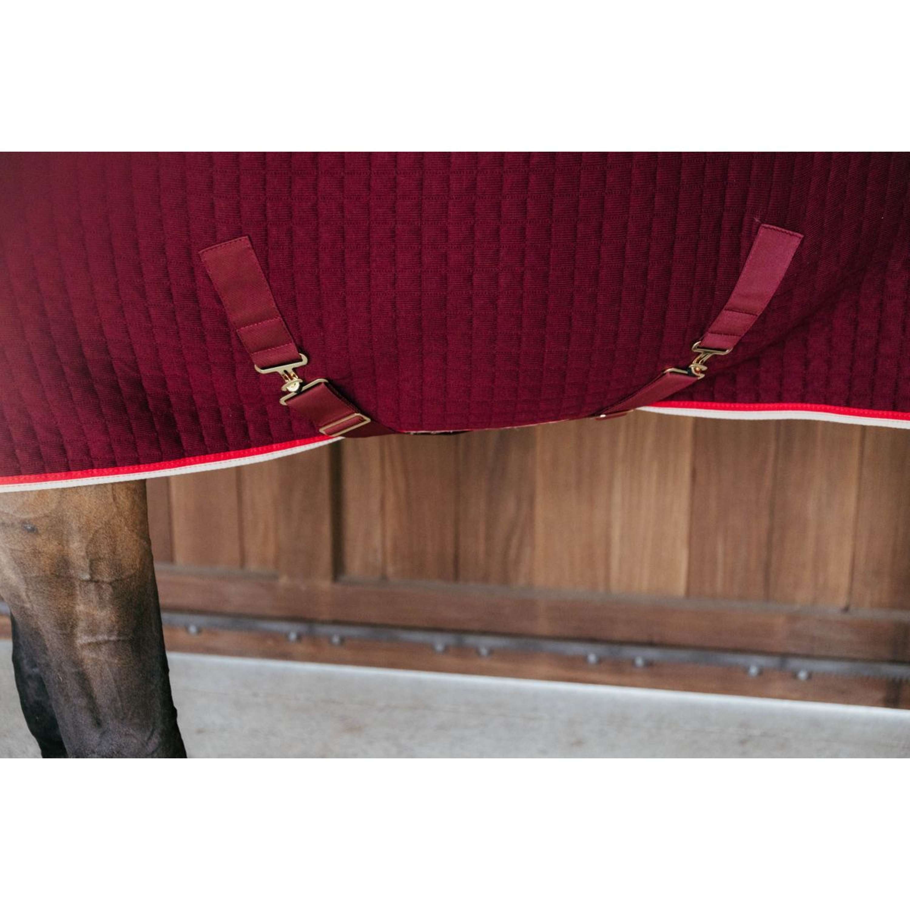 Kentucky Cooler PROTherm Bordeaux