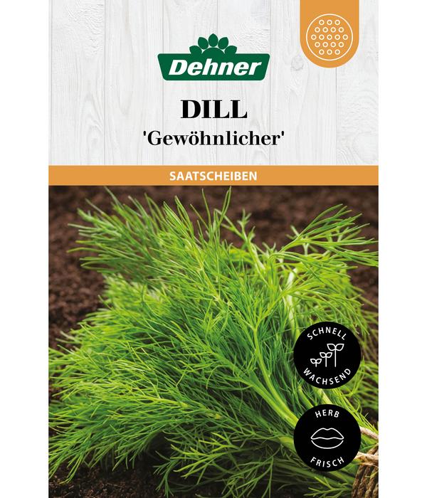 Dehner Saatscheiben Dill 'Gewöhnlicher', 3