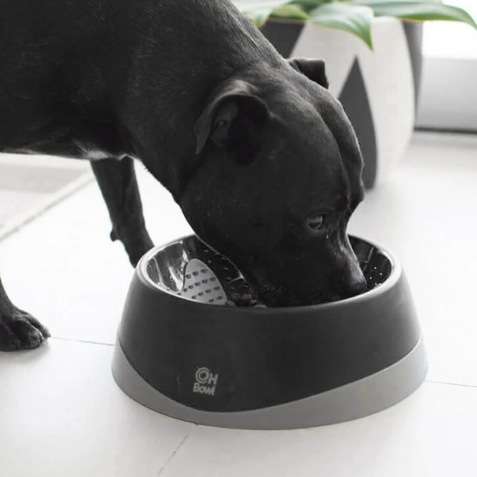 LICKI MAT - Hundeskål Oral Hygiene Bowl M Black Ø22X7,2Cm