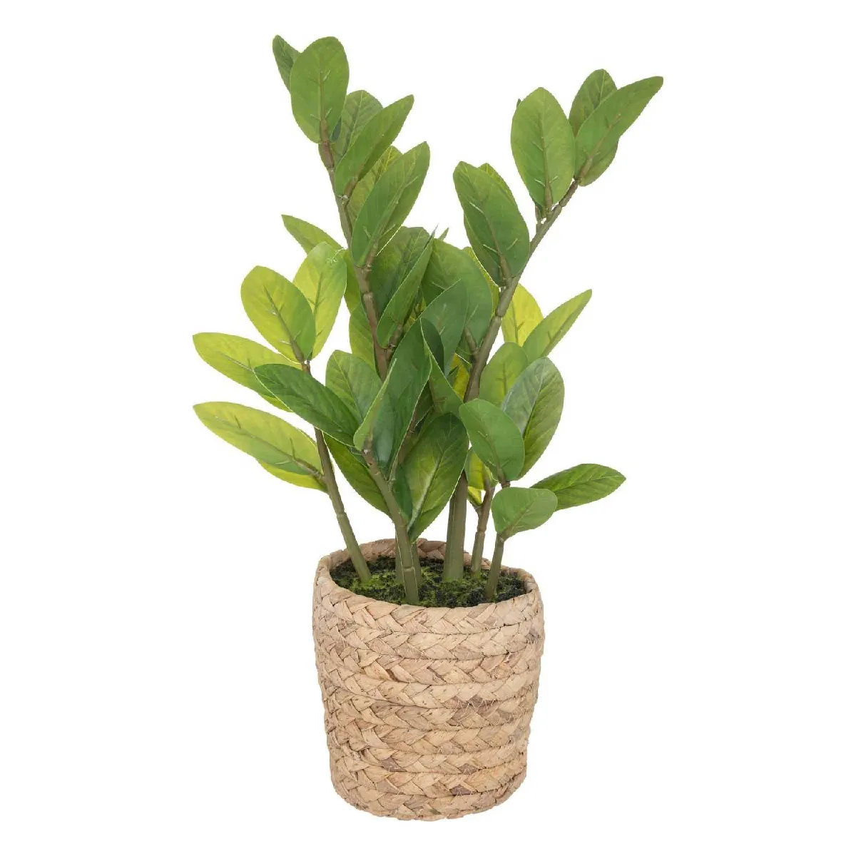 Atmosphera, Createur D'Interieur Zamioculcas artificiel avec pot - H.41 cm