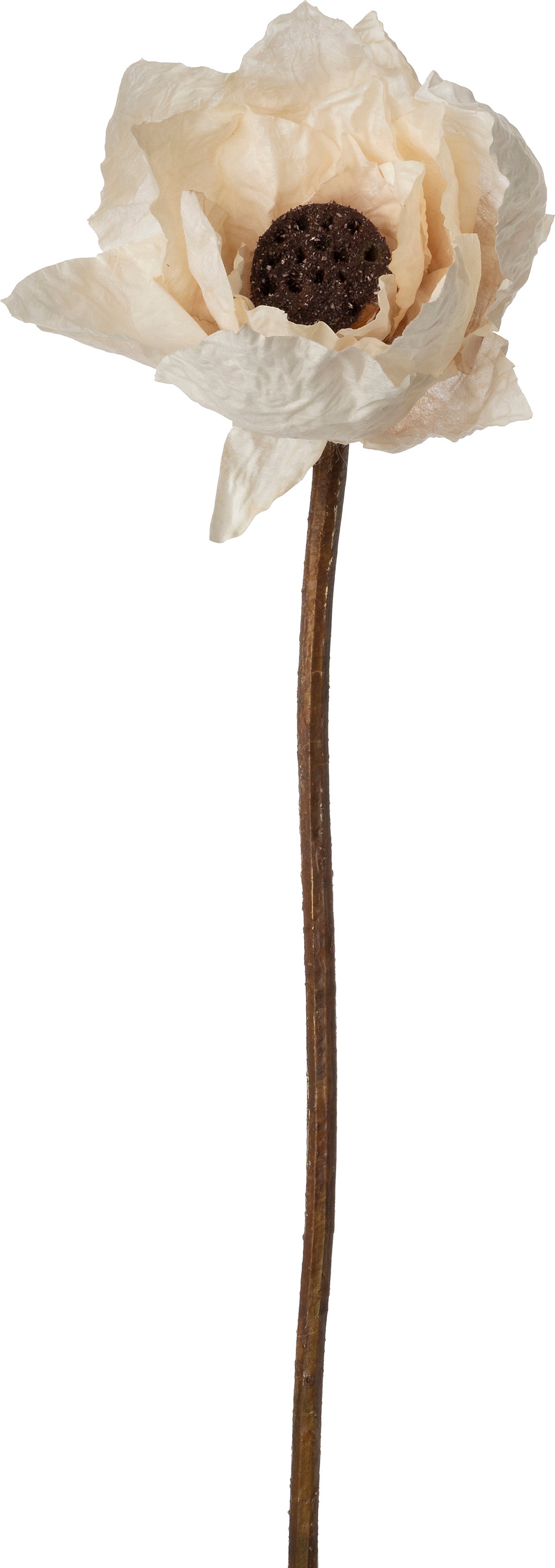 Intratuin kunstbloem Lotus wit 69 cm
