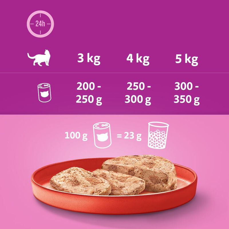 Whiskas Adult 1+ 12 x 400 g