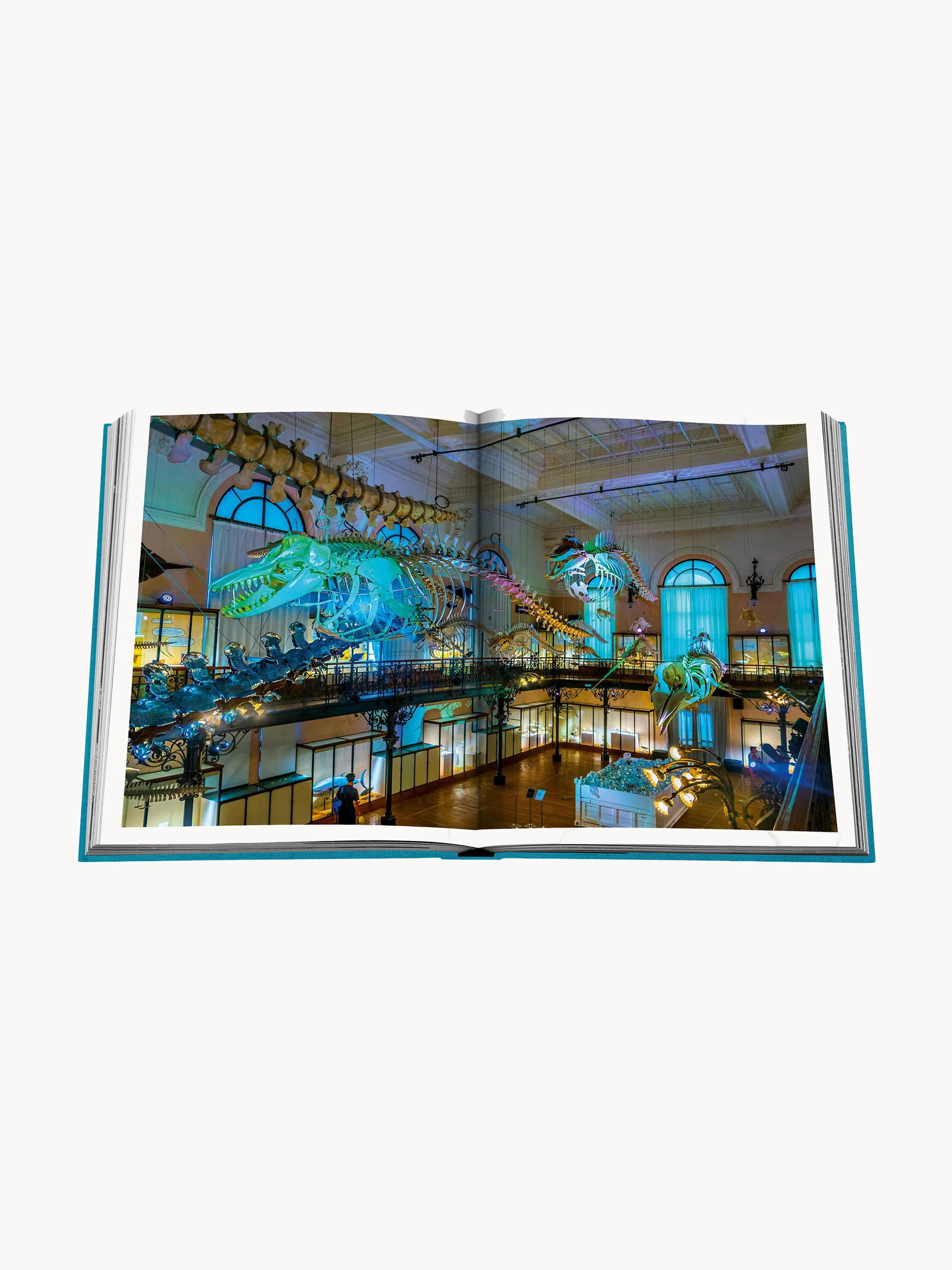 Koffietafelboek Monte Carlo