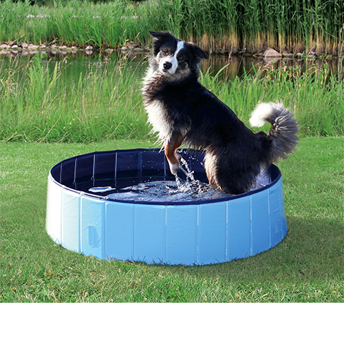Trixie Dog Pool