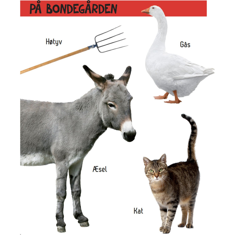 Køb Forlaget Tukan Kig Engang - Hvad Er Det? Bondegård
