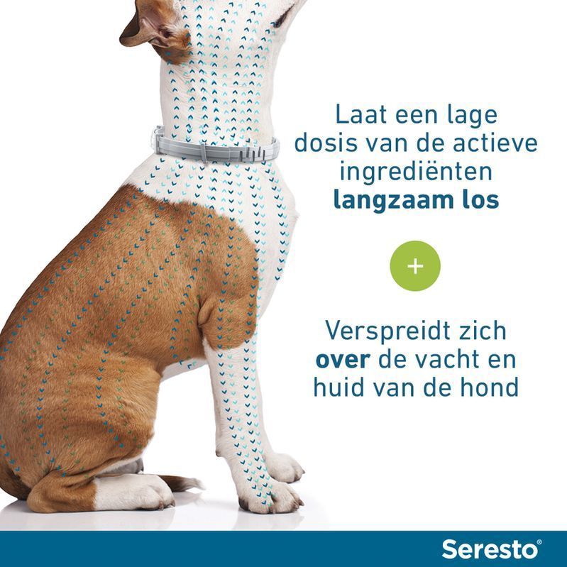 Seresto Teken- en Vlooienband Kleine Hond (TOT 8 KG 38 CM)