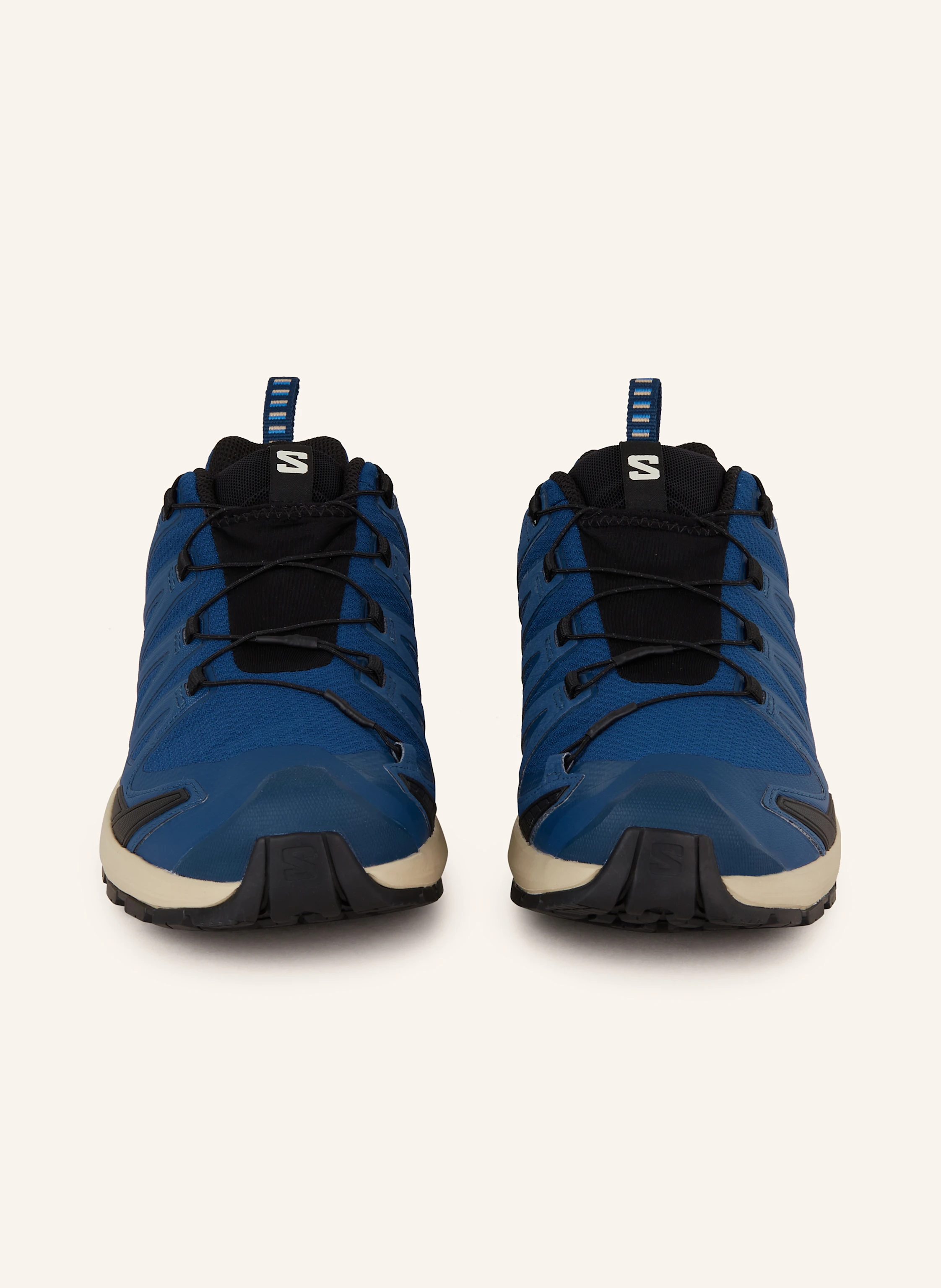 SALOMON Wanderschuhe XA PRO 3D V9 GTX