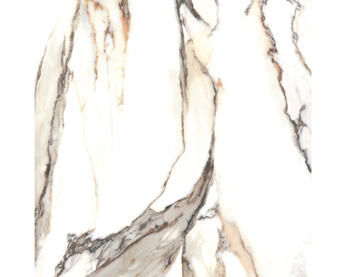 Porseleinen wand- en vloertegel Calacatta 119,7 x 119,7 x 0,8 cm goud gepolijst gerectificeerd