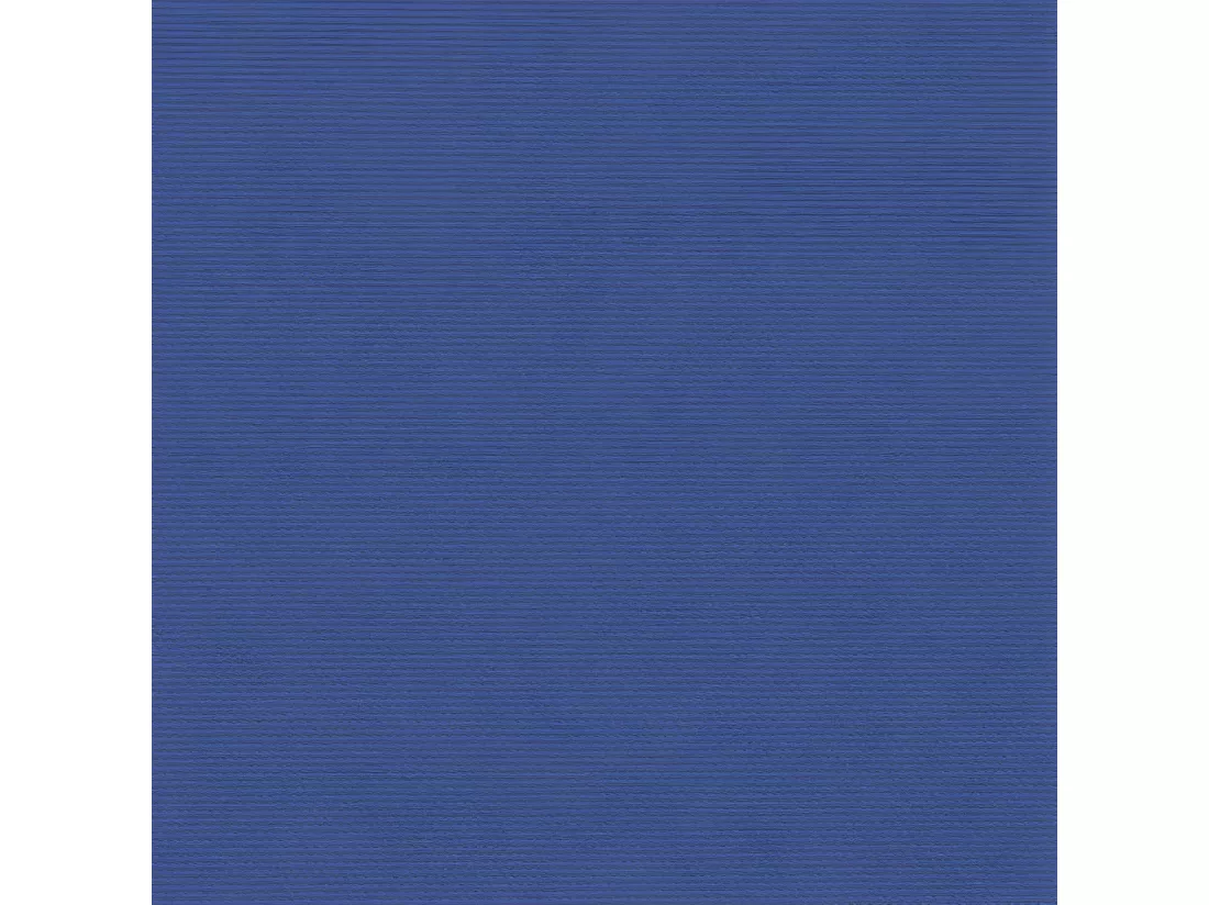 Auvent latéral rétractable bleu 160x600 cm