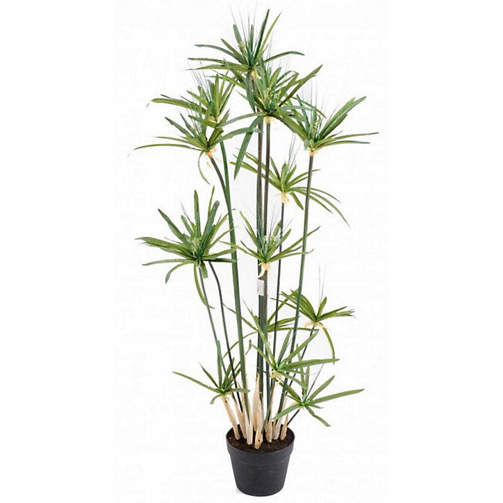 Papyrus Alternifolius artificiel h.125 cm