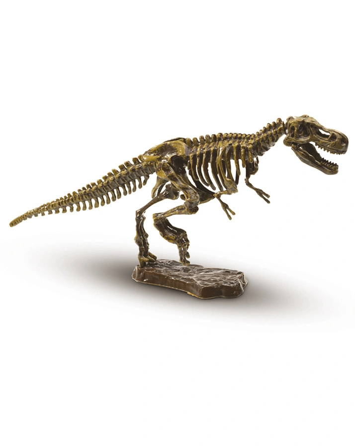 Ausgrabungsset T-REX 3-teilig