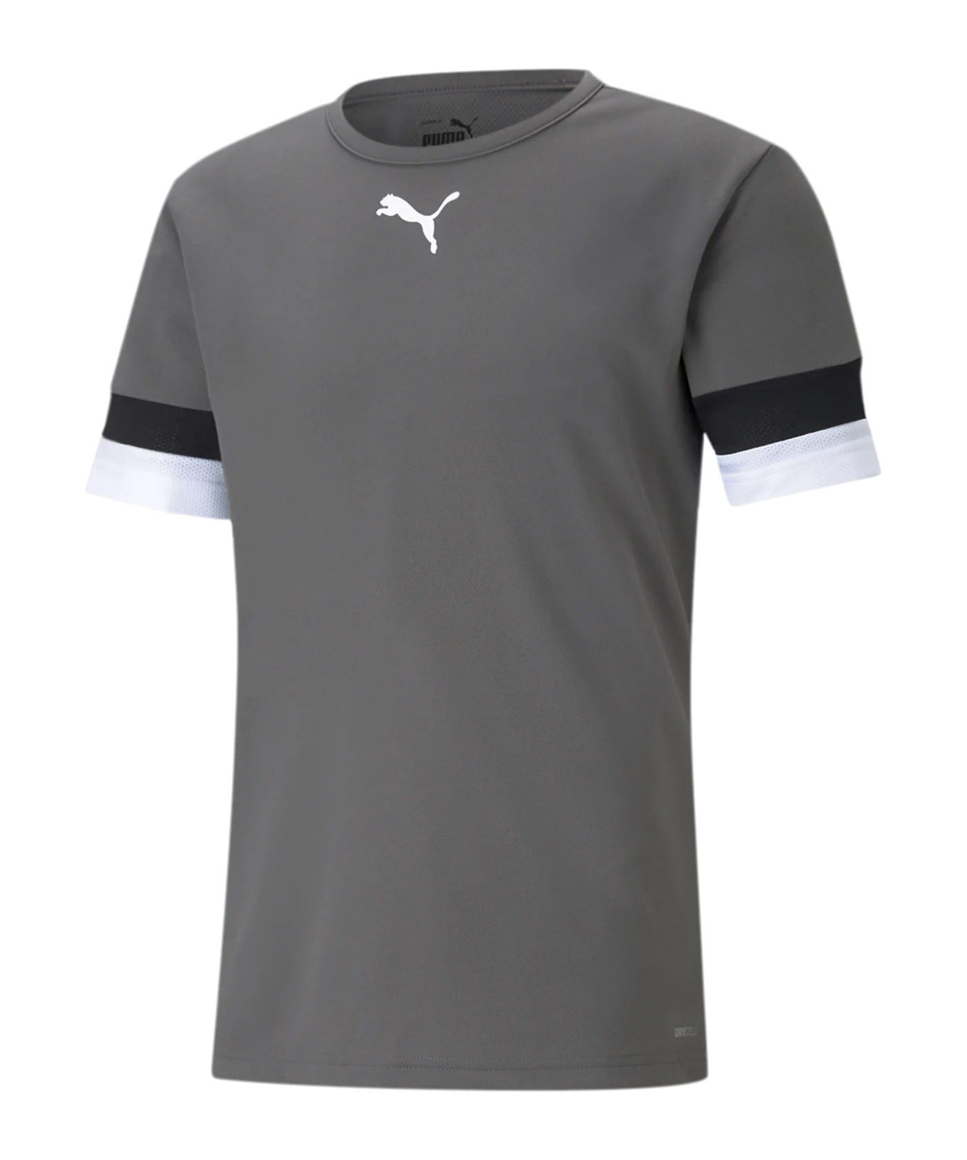 PUMA teamRISE Trikot Grau F13