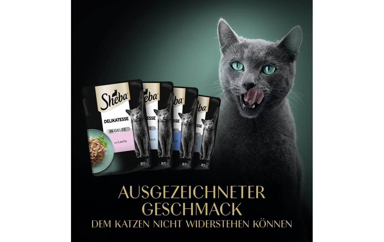 Nassfutter Delikatesse Gelee Fisch Variation, 60 x 85gAlleinfuttermittel für ausgewachsene Katzen