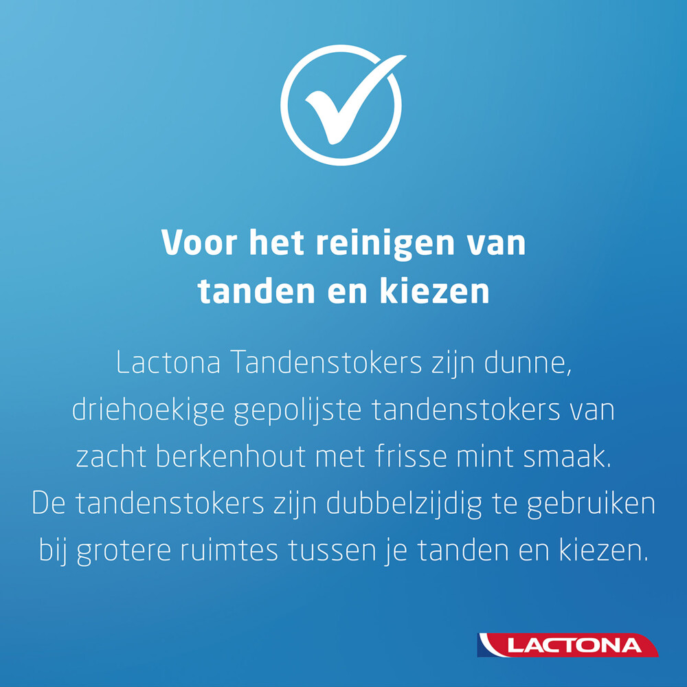 Lactona Intersticks Tandenstokers 100 stuks