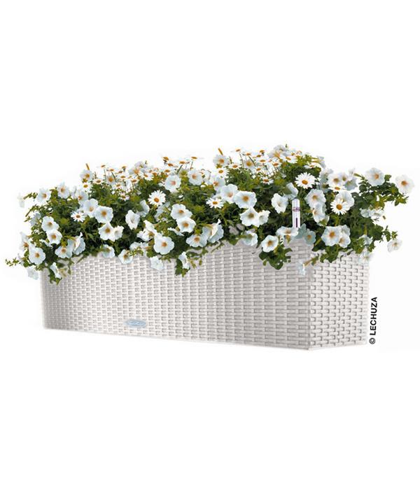 LECHUZA® Kunststoff-Kasten Balconera Cottage,