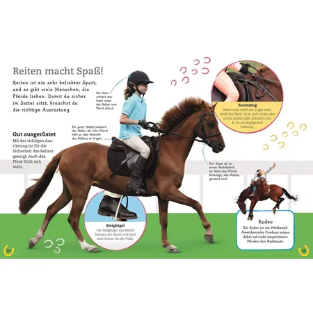 DK Verlag Pferde und Ponys Alles über deine Lieblingstiere