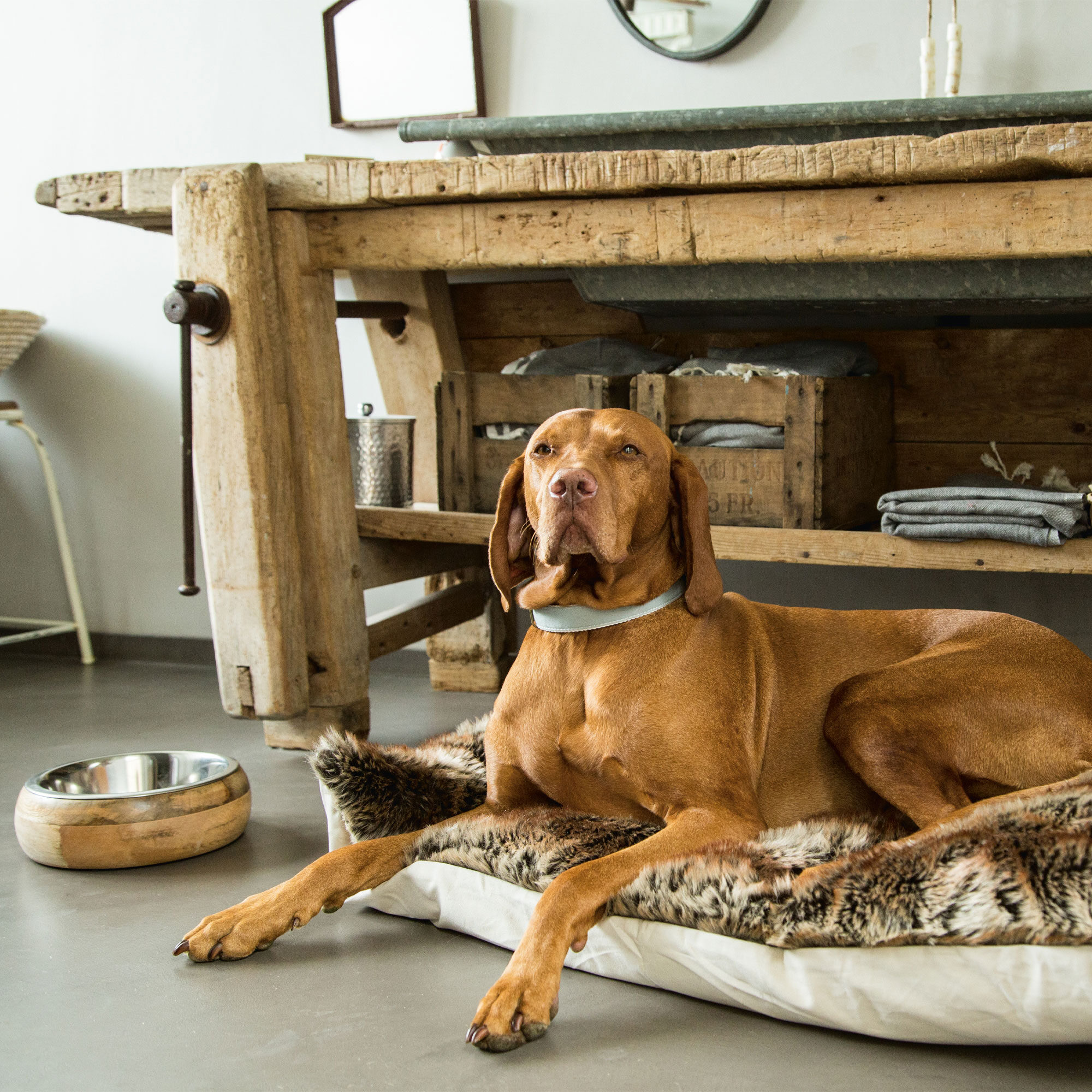 Designed by Lotte Houten Eet- en Drinkbak Mandira