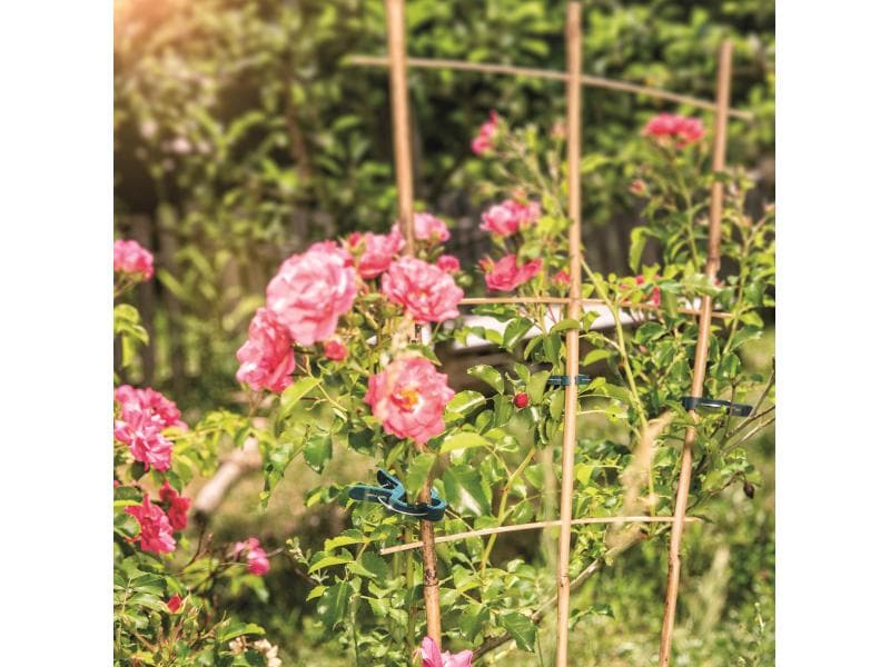 Windhager Pflanzenhalter Set 50-teilig Garten-Zubehör: Fixierung