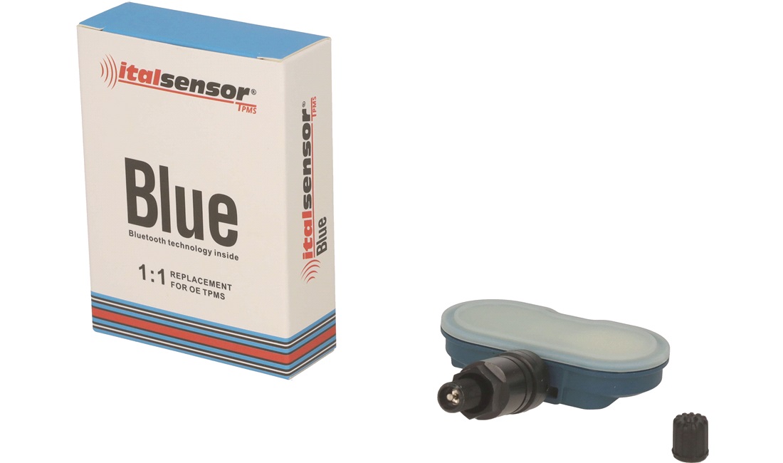 TPMS Ventil BLE Tesla Model 3/Y Sort IM