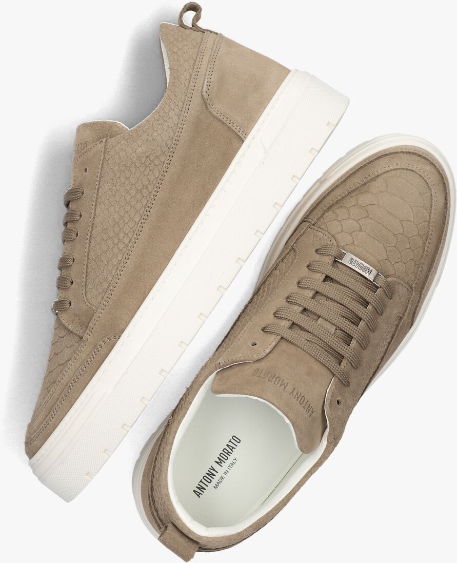ANTONY MORATO bruine antony morato lage sneakers mmfw01664