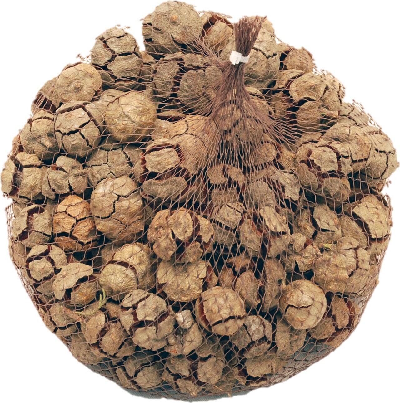 Decoratie takken Cypressus naturel 300 gr
