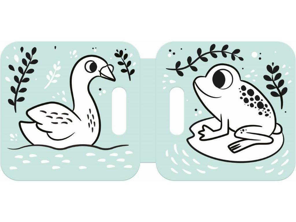 LIVRO BANHO AQUACADABRA PATO