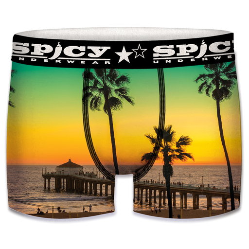 Cueca Spicy Palmeras