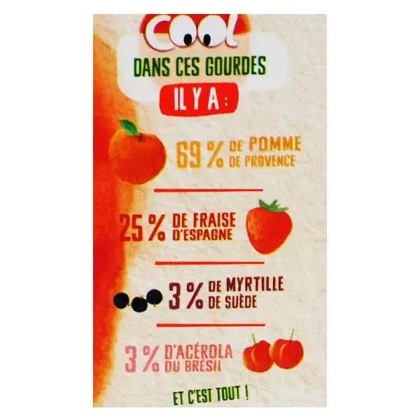 Vitabio Cool Fruits Maçã Morango Mirtilo Acerola Orgânico 4 x 90g