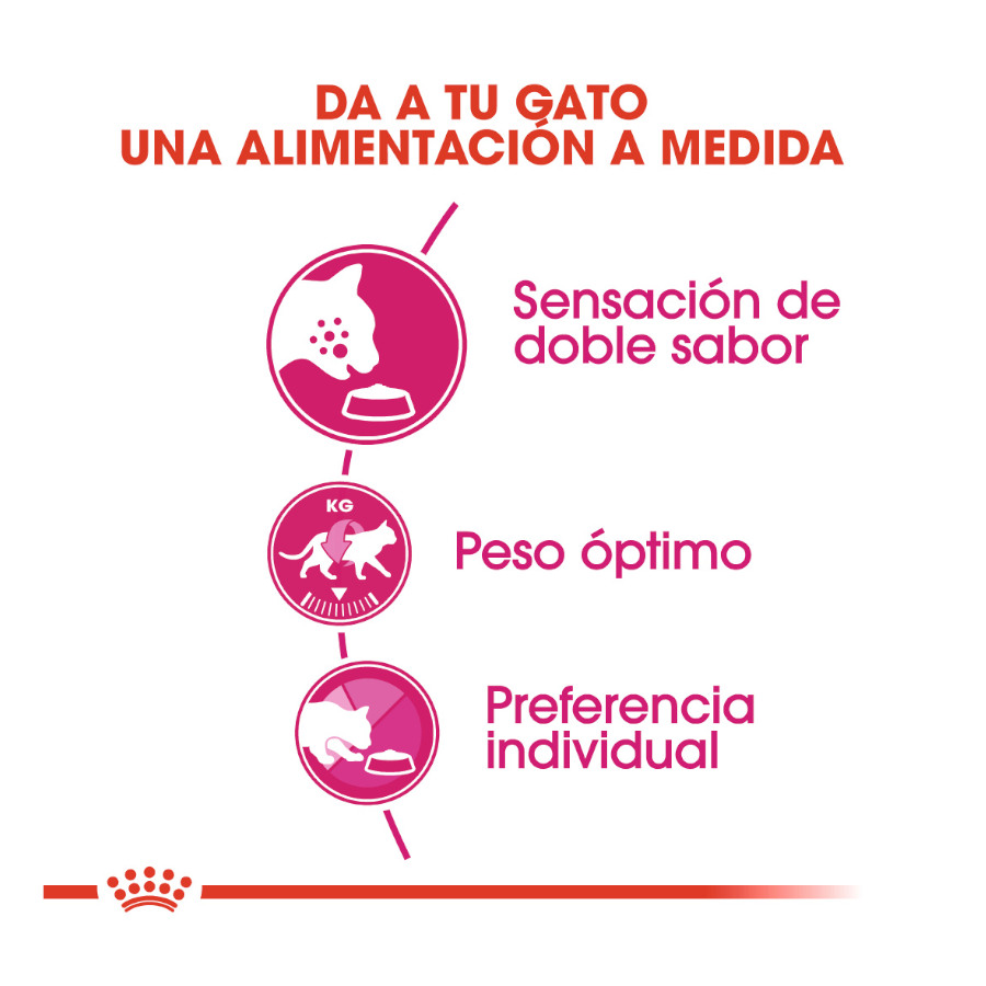 Ração Royal Canin Adult Exigent Savour para gatos