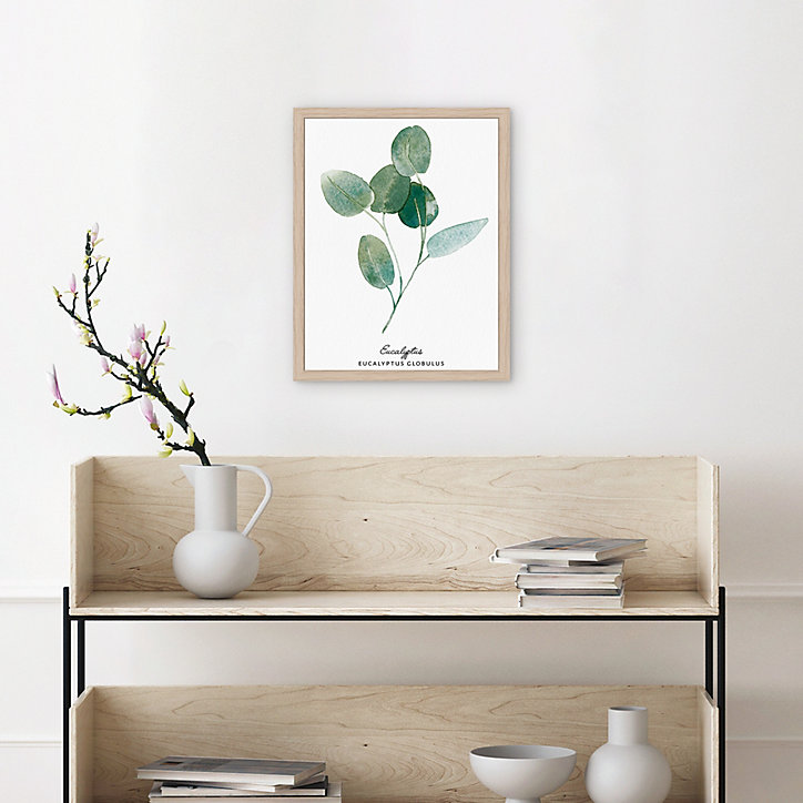 Image encadrée eucalyptus 24 x 30 cm