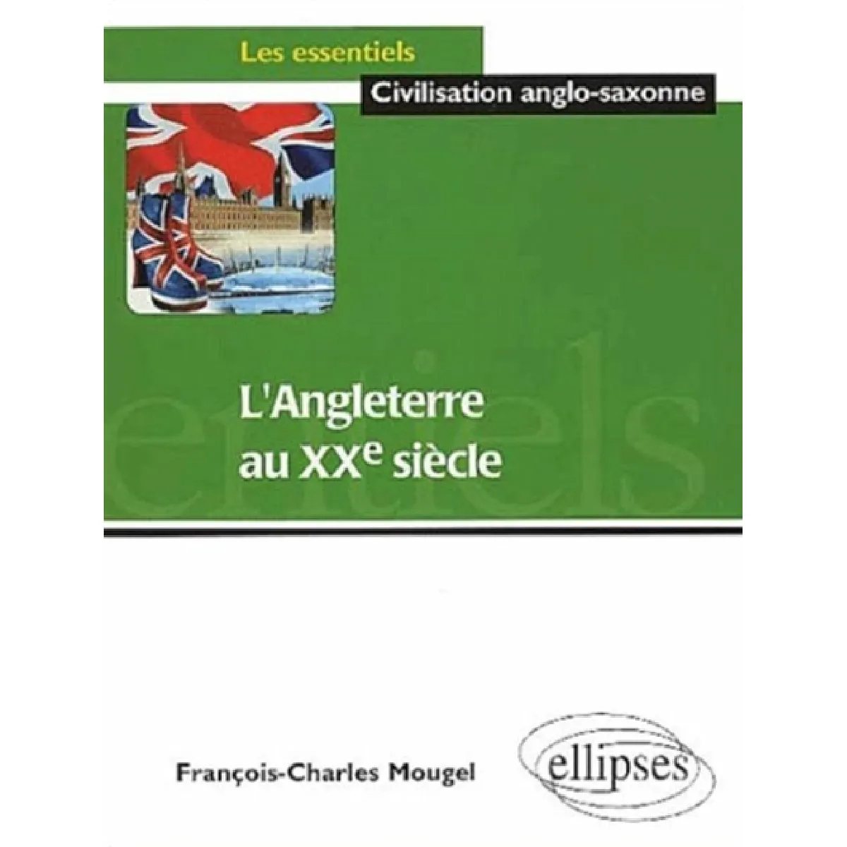L'Angleterre au XXe siècle · Occasion