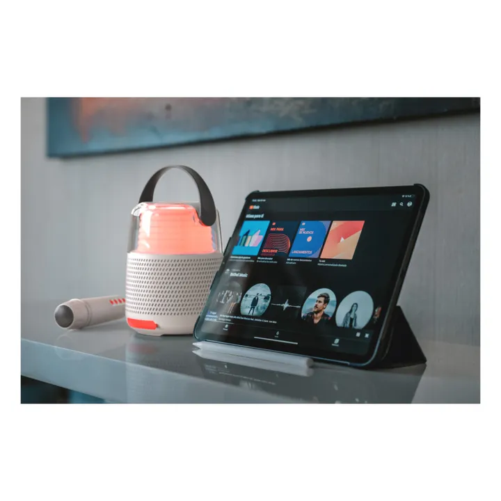 MOB Enceinte micro | Gris