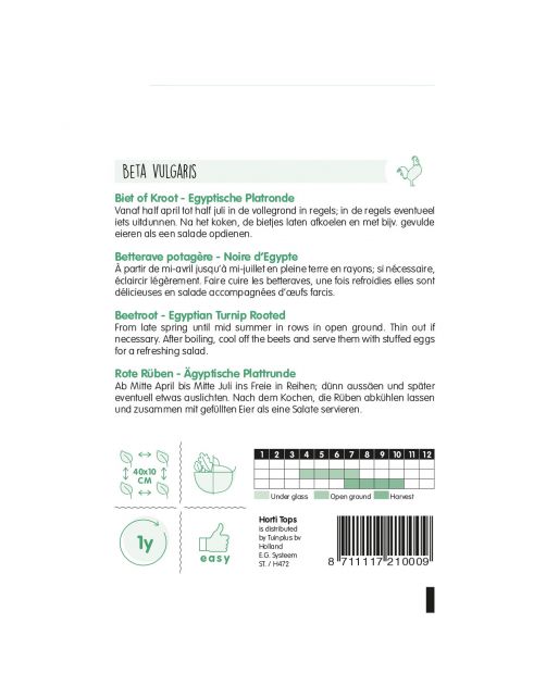 Hortitops Bieten Egyptische Platronde - Groentezaden - 5 g